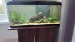 Aquarium met kast, Ophalen, Zo goed als nieuw, Gevuld zoetwateraquarium