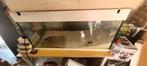 Aquarium of terrarium groot 100 cm breed en 50 cm hoog, Ophalen of Verzenden, Zo goed als nieuw, Leeg aquarium