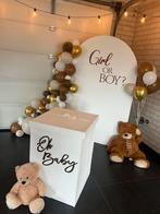 Gender reveal doos + achtergrond bord tekoop, Hobby en Vrije tijd, Feestartikelen, Ophalen, Nieuw, Versiering, Geboorte of Huwelijk