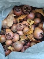 Mispels, Ophalen of Verzenden