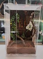 Compleet ingericht terrarium ( bidsprinkhaan, springspin), Overige soorten