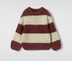 Nieuwe Zara trui maat 110 (inclusief verzenden), Ophalen of Verzenden, Nieuw, Jongen of Meisje