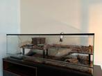 Groot glazen terrarium (150x50x50), Ophalen, Zo goed als nieuw, Terrarium of Paludarium