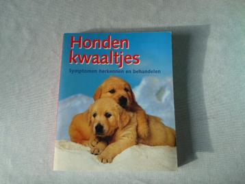 Hondenkwaaltjes beschikbaar voor biedingen