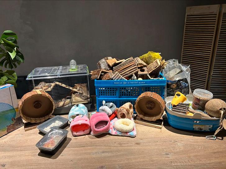 Hamster terrarium met veel (nieuwe) hamster spullen, Dieren en Toebehoren, Knaagdieren en Konijnen | Toebehoren, Knaagmateriaal