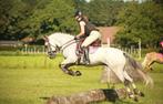 Leuke grote E-pony te koop, Dieren en Toebehoren, Pony's, E pony (1.48m - 1.57m), B, Ruin, Ontwormd