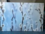 Canvas wilgenkatjes 118x78, Huis en Inrichting, Ophalen, 100 tot 125 cm, 75 cm of meer, Print