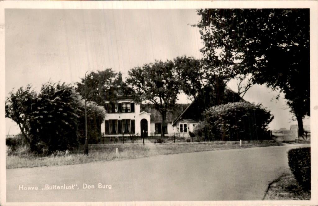 Den Burg - Hoeve Buitenlust - Vooraanzicht, Ophalen of Verzenden, 1940 tot 1960, Gelopen, Noord-Holland