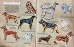 Borduurpatroon honden, Hobby en Vrije tijd, Borduren en Borduurmachines, Ophalen of Verzenden, Gebruikt, Patroon