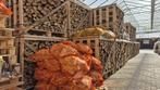 Beuken haardhout 15 stuks a 15 kg voor €155,-, Minder dan 3 m³, Ophalen, Blokken