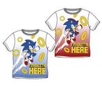 Sonic T-shirt - Mt 98 - 104 - 116 - 128 - Rood of Blauw, Kinderen en Baby's, Sonic, Nieuw, Ophalen of Verzenden, Shirt of Longsleeve