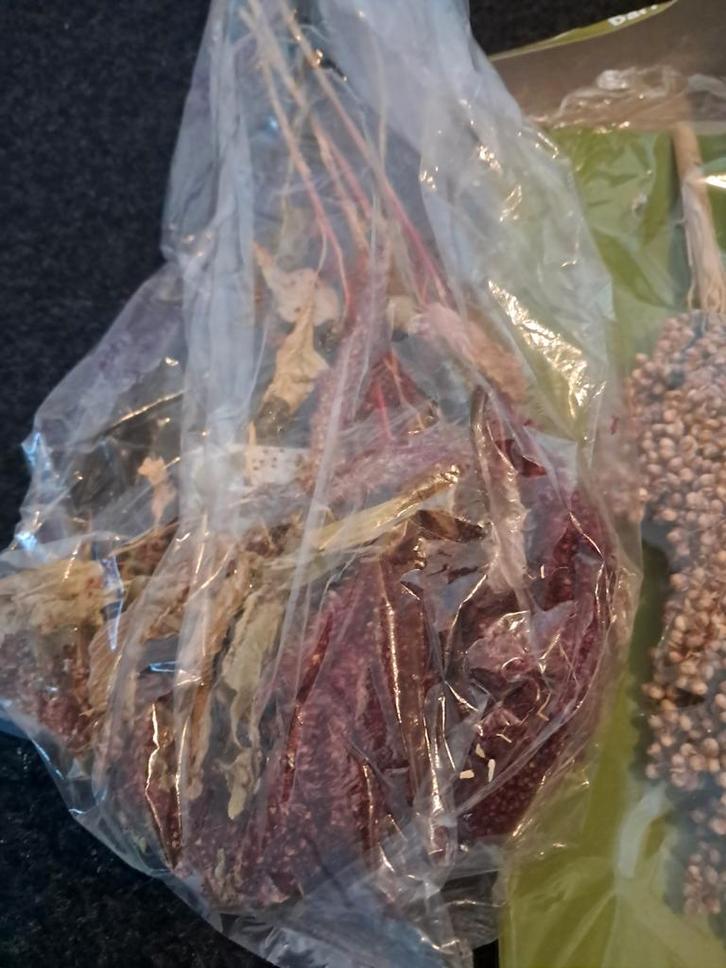 Bodembeddekkers voor knaagdieren, Dieren en Toebehoren, Knaagdieren en Konijnen | Toebehoren, Ophalen of Verzenden