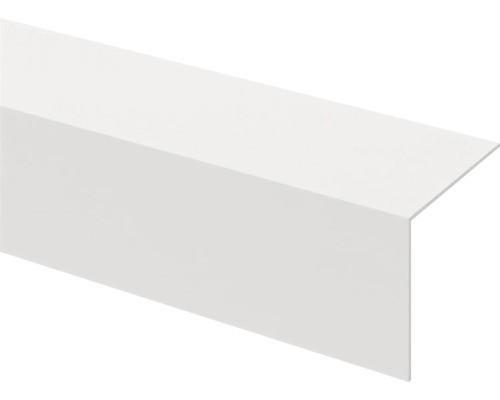 Te koop: 25 stuks Kunststof hoekprofiel (40402600 mm) – ️, Doe-het-zelf en Verbouw, Plinten en Afwerking, Nieuw, Overige typen