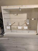 Kweekkooi, Dieren en Toebehoren, Vogels | Hokken en Kooien, Ophalen of Verzenden, Zo goed als nieuw, Broedkooi of Kweekkooi