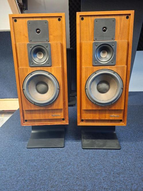 Cabasse Coelette M2 Luidsprekers, Audio, Tv en Foto, Luidsprekers, Gebruikt, Front, Rear of Stereo speakers, 120 watt of meer