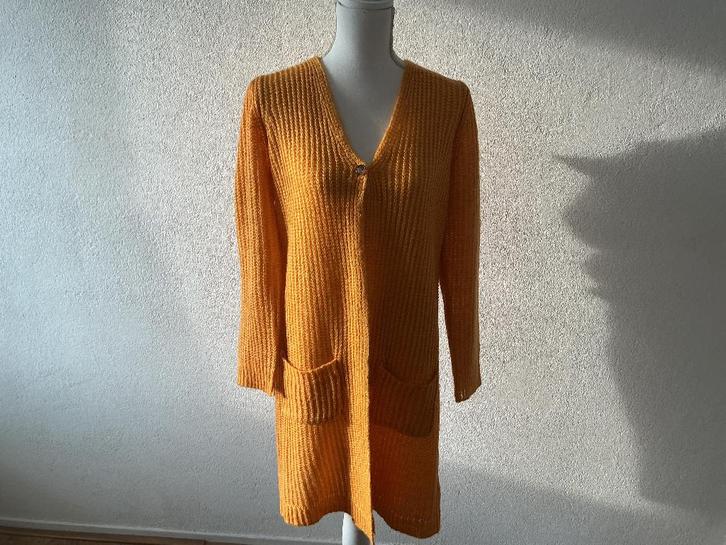 ZHENZI VEST L nieuw, Kleding | Dames, Truien en Vesten, Nieuw, Maat 42/44 (L), Geel, Ophalen of Verzenden