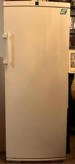 Vriezer Liebherr, Witgoed en Apparatuur, Vriezers en Diepvrieskisten, Gebruikt, 160 cm of meer, Energieklasse A of zuiniger, Ophalen