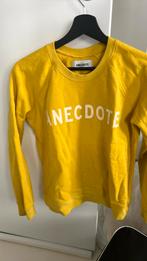 Leuke trui van Anecdote mt XS, Kleding | Dames, Ophalen of Verzenden, Zo goed als nieuw, Maat 34 (XS) of kleiner