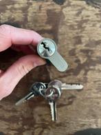 2 slotcylinders tbv poort of schuurdeur, Ophalen of Verzenden, Zo goed als nieuw, Rvs, Slot
