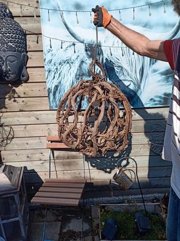 liaanlamp beschikbaar voor biedingen