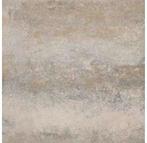 EXCLUTON Terrastegel Plus schelpkalk 60 x 60 x 4 cm, Ophalen, 60 cm of meer, 60 cm of meer, Overige typen