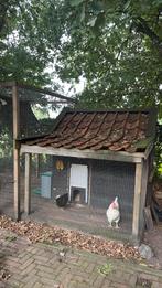 Kippenhok, Dieren en Toebehoren, Pluimvee | Toebehoren, Ophalen of Verzenden, Gebruikt, Kippenhok of Kippenren