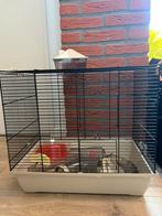(Hamster)kooi met toebehoren, Ophalen