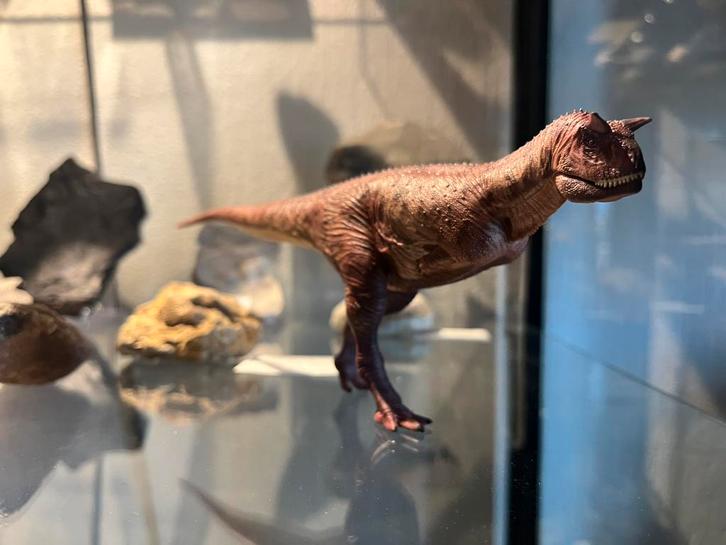 Carnotaurus 1:35 model geen speelgoed, Verzamelen, Poppetjes en Figuurtjes, Ophalen of Verzenden