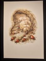 Termieten, Verzenden, 1980 tot heden, Zo goed als nieuw, Dier