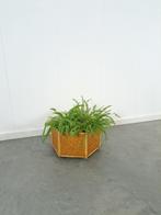 Rotan bamboe plantenbak op wielen, bloempot, Tuin en Terras, Gebruikt, Minder dan 30 cm, Minder dan 60 cm, Rond