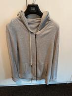 Grijze Hoodie Maat 36 (S), Ophalen of Verzenden, Zo goed als nieuw, Maat 36 (S), Grijs
