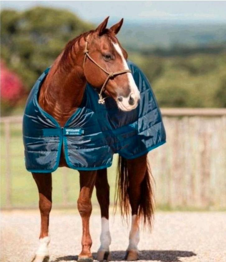 Nieuwe Horseware Liners 300gr & 400gr _ 6'0 - 130/183cm, Dieren en Toebehoren, Paarden en Pony's | Dekens en Dekjes, Nieuw, Deken