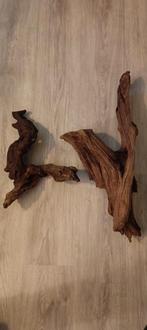 Groote stuk kienhout, Ophalen of Verzenden, Zo goed als nieuw, Plant(en), Steen of Hout