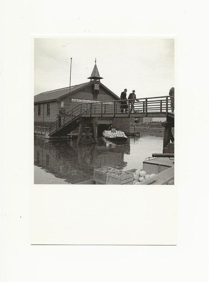 Groentenveiling - Foto Wim Zilver Rupe, Verzamelen, Ansichtkaarten | Nederland, Ongelopen, Noord-Holland, 1940 tot 1960, Ophalen