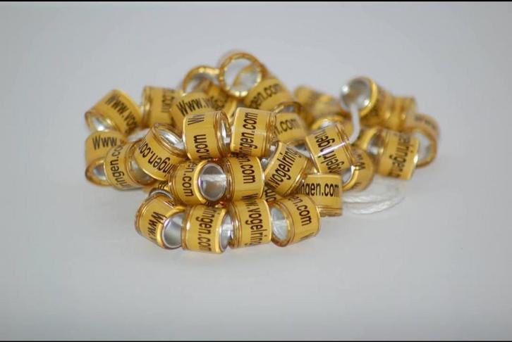 Duiven ringen met Eigen Tekst – Direct te Bestellen! 50stuks, Sieraden, Tassen en Uiterlijk, Broches, Zo goed als nieuw, Overige materialen