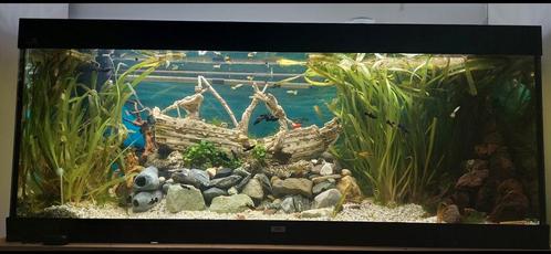 Natuur steen en lava stenen aquarium, Dieren en Toebehoren, Vissen | Aquaria en Toebehoren, Plant(en), Steen of Hout, Ophalen of Verzenden