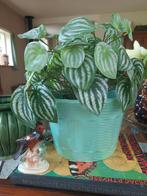 Franse Barbotine Brocante Bloempot jardiniere  mand, Antiek en Kunst, Ophalen of Verzenden