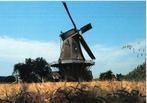 (GD163) Ansichtkaart Geesteren molen De Ster 1998, Verzenden, 1980 tot heden, Ongelopen, Gelderland