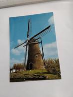 MOLEN.  NIEUWVLIET, Verzamelen, Ansichtkaarten | Nederland, Ophalen of Verzenden