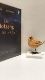 Mijnders, Ds. J.; Een lofzang in de nacht, Boeken, Ophalen of Verzenden, Gelezen, Christendom | Protestants