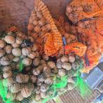 Walnoten, oogst 2025, Ophalen