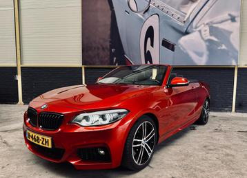 BMW 2-serie Cabrio 230i High Executive|M-Sport|NL auto|H&K|S beschikbaar voor biedingen