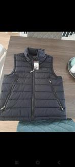 Ab bodywarmer nieuw, Maat 52/54 (L), AB Lifestyle, Zwart, Nieuw