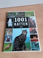 P. Coppe - 1001 katten, P. Coppe, Ophalen of Verzenden, Zo goed als nieuw, Paarden of Pony's