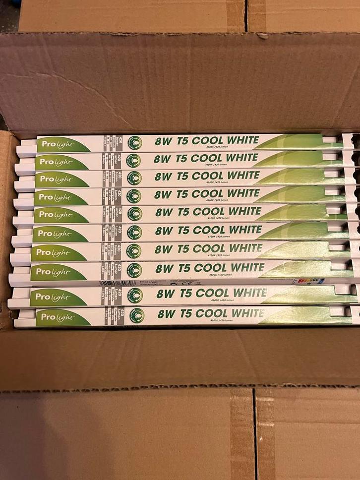 ProLight 8W T5 Cool White Lampen  30cm tl, Huis en Inrichting, Lampen | Losse lampen, Nieuw, Overige typen, Ophalen of Verzenden