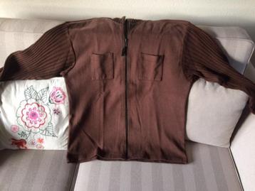 Bruine vest, 50-52 beschikbaar voor biedingen