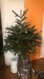 Gratis Kerstboom, Huis en Inrichting, Woonaccessoires | Kunstplanten en Kunstbloemen, Ophalen, Zo goed als nieuw