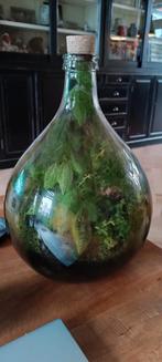 Ecofles - Miniatuur Tuin in Glas, Ophalen of Verzenden