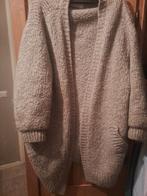 By bar Amsterdam gezellig winter vest, Beige, Ophalen of Verzenden, Zo goed als nieuw, Maat 38/40 (M)