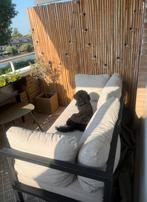 Bamboe Schutting/Balkonscherm 180x180cm, Ophalen, Gebruikt, 150 tot 200 cm, 150 tot 200 cm